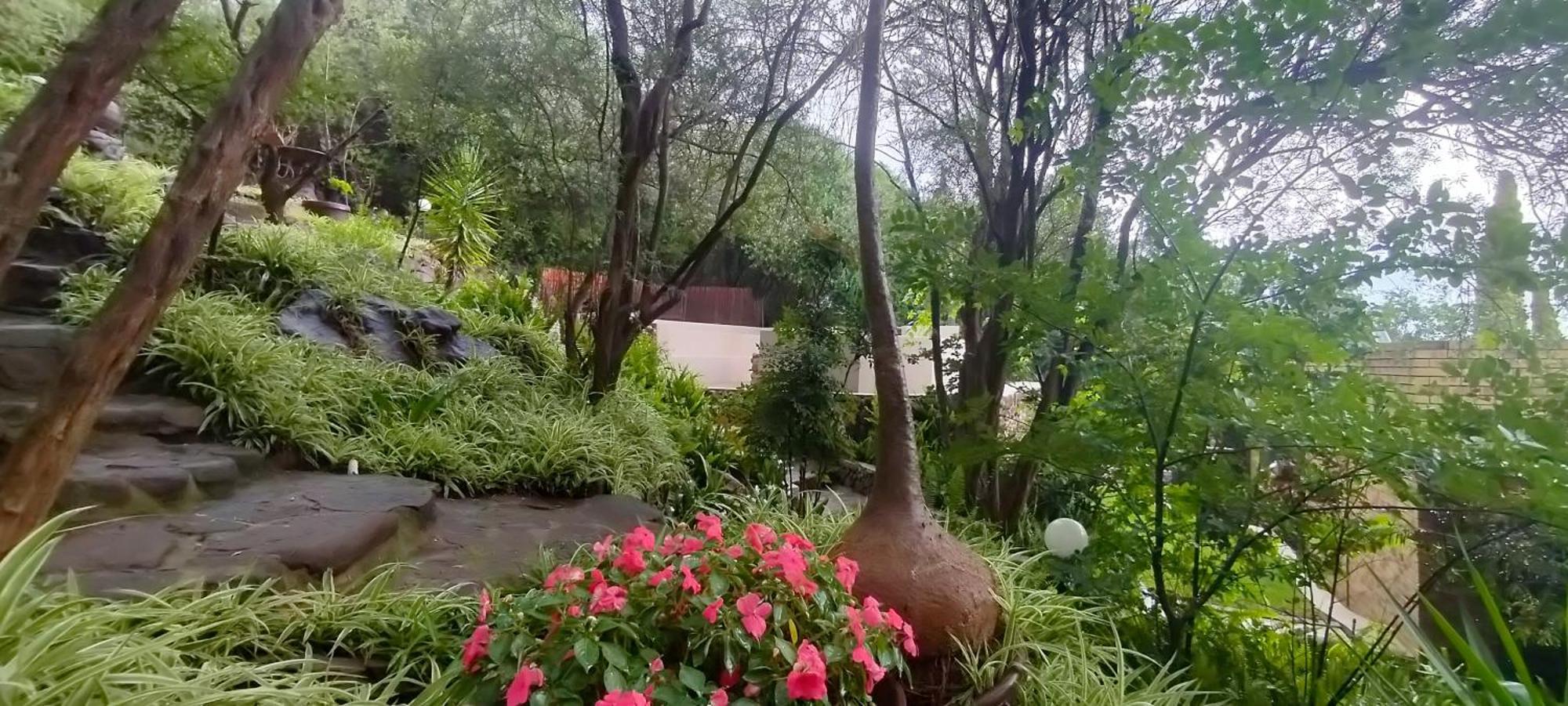 블룸폰테인 Mountain Gem B&B 외부 사진