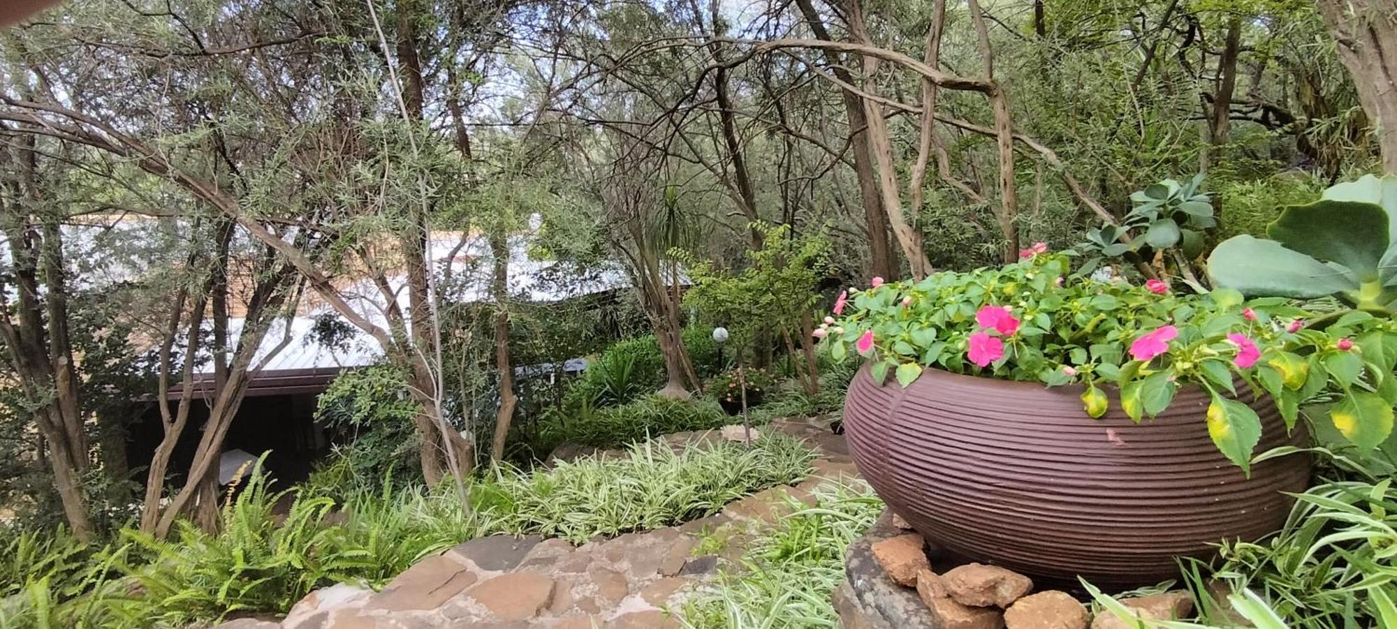 블룸폰테인 Mountain Gem B&B 외부 사진